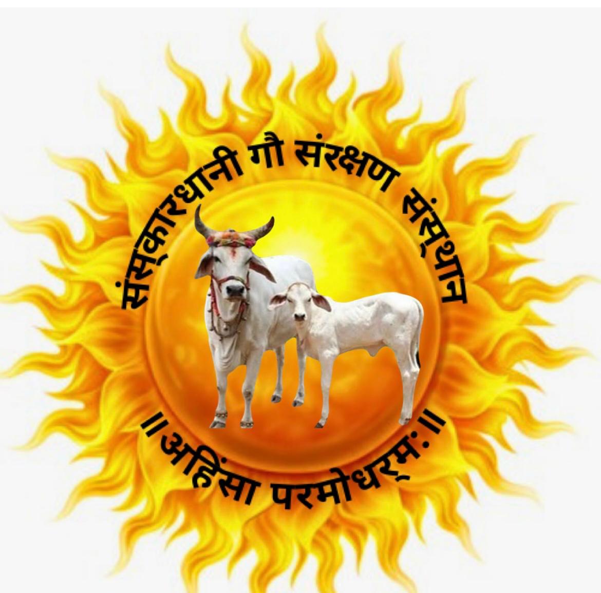 Our Supportive Partners